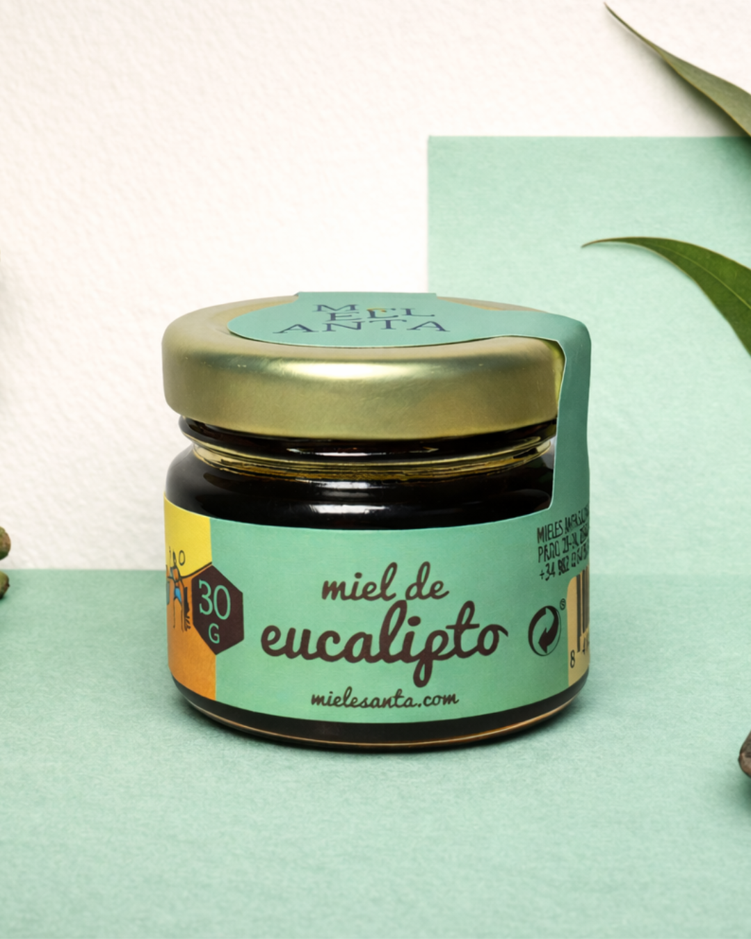 mel de eucalipto