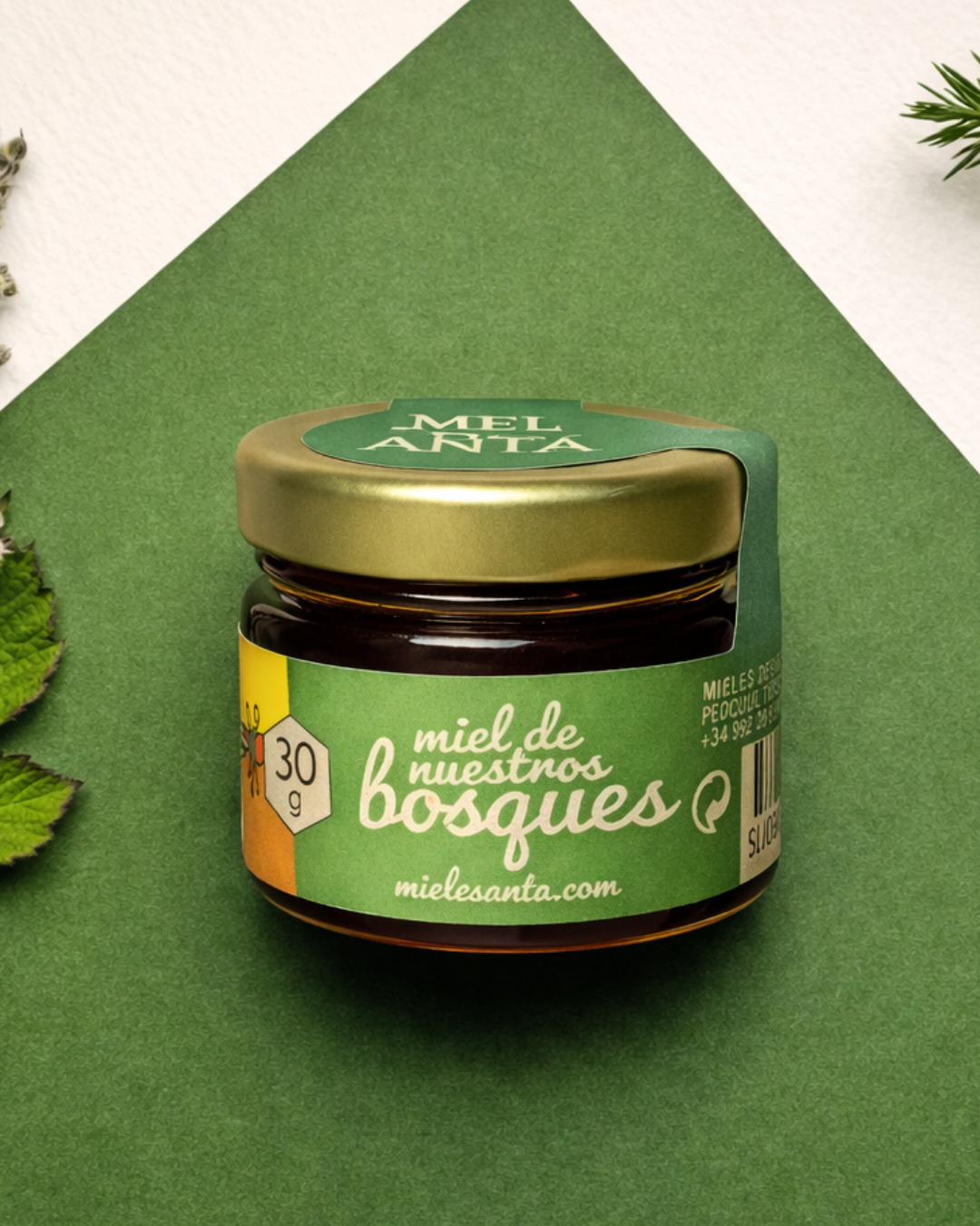 Tarrina Miel del Bosque